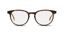 Load image into Gallery viewer, Electric Amber Tortoise Acetate w/Brushed Gold arms